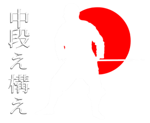 Kamaé au sabre en Nin Jutsu : Chu Dan no Kamaé Ushiro, sabre, katana, sabre, katana, Le Dojo, dojo, budo, bushi, samourai, ninjas, ninja, nin jutsu, ninjutsu paris, nin jutsu paris, bujinkan, bujinkan