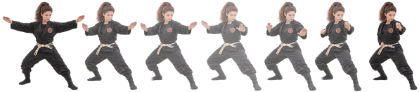 Il ne doit pas y avoir de trou Physique/mental/énergétique, Le Dojo, dojo, budo, bushi, samourai, ninjas, ninja, nin jutsu, ninjutsu paris, nin jutsu paris, bujinkan, bujinkan paris, ninja paris