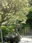 Jardin au Japon